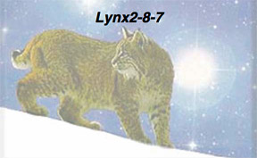 Logo Lynx 2.8.7 mit einem Luchs in Winterlandschaft als Hintergrund