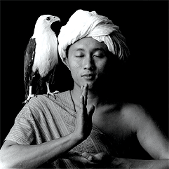Bild eines Asiaten in Meditation mit einem Adler auf der Schulter